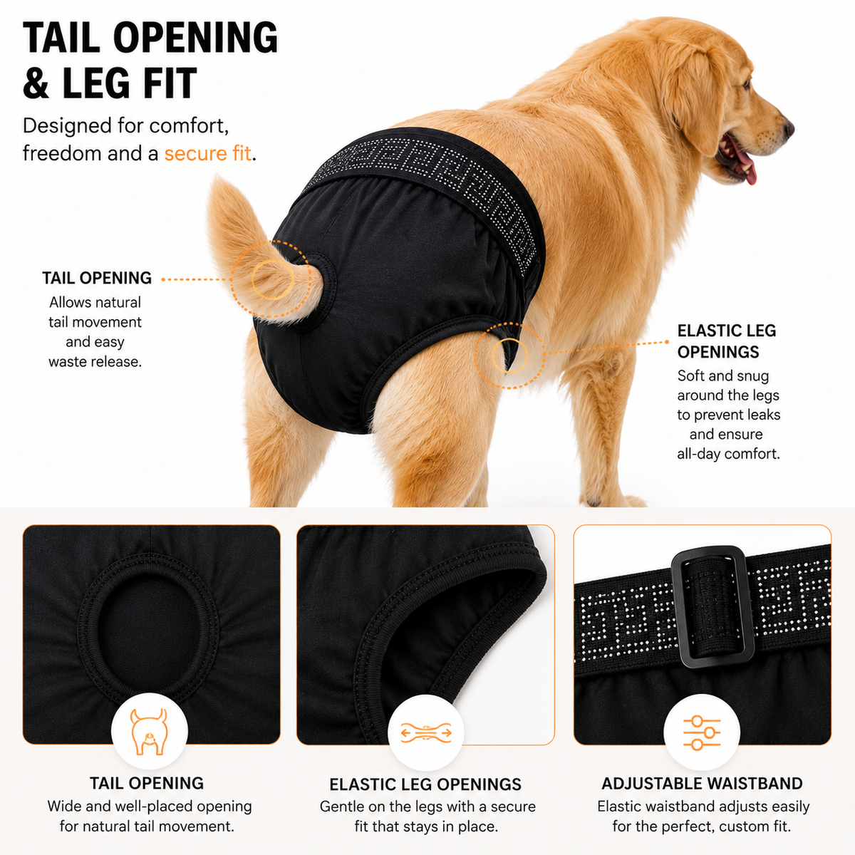 Petmoda Reusable Female Dog Diaper