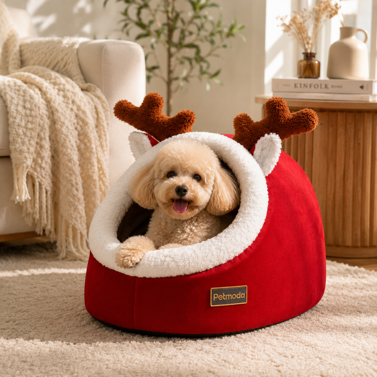 Petmoda Joy Dream House