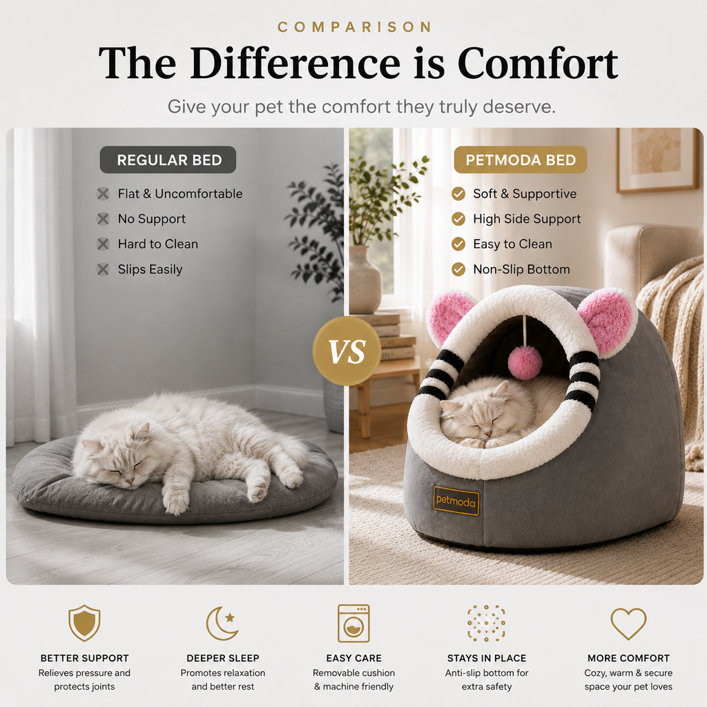 Petmoda Joy Mouse House