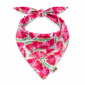 Petmoda Printed Pet Bandana – Dogs & Cats