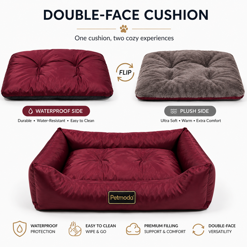 Petmoda Colored Waterproof Bed
