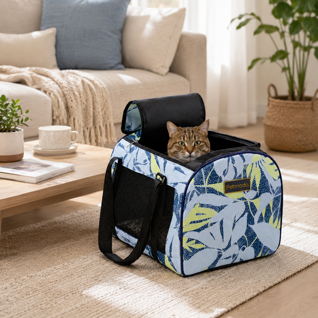 Petmoda Box Pet Carrier – Cats & Small Dogs