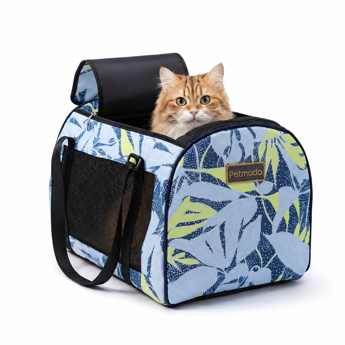 Petmoda Box Pet Carrier – Cats & Small Dogs