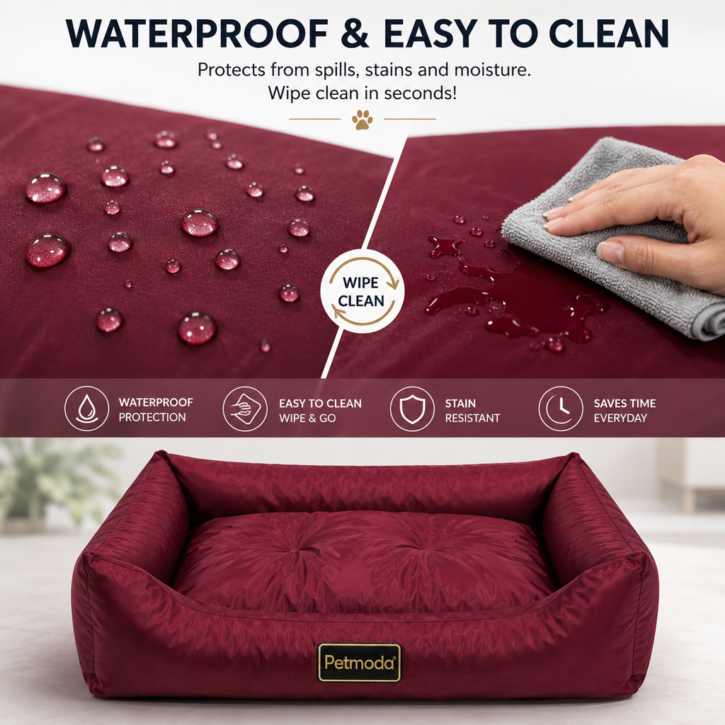 Petmoda Colored Waterproof Bed