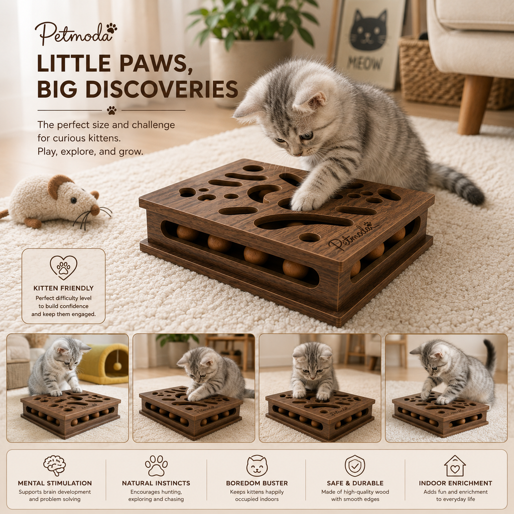 Petmoda Living Maze – Interactive Cat Puzzle