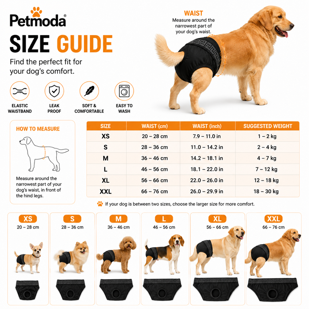 Petmoda Reusable Female Dog Diaper