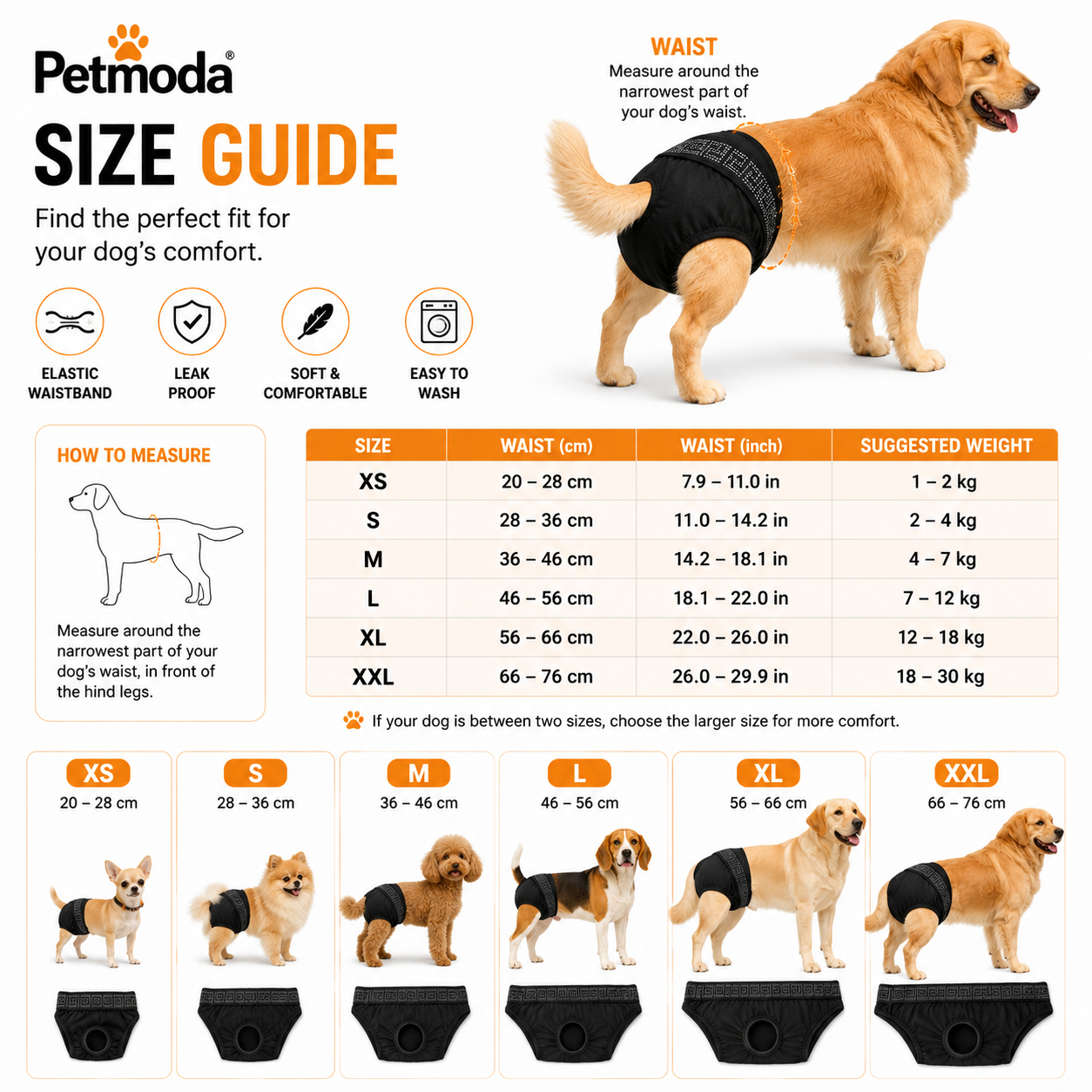 Petmoda Reusable Female Dog Diaper